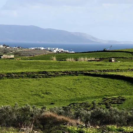 Stone Kontiani - Red *