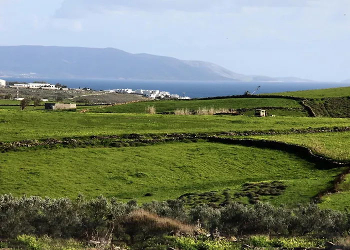 Stone Kontiani - Red *